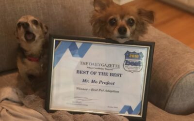We WON! Best of the Best Pet Adoption!
